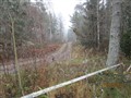IMG_0092.JPG