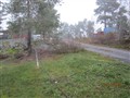 IMG_0093.JPG